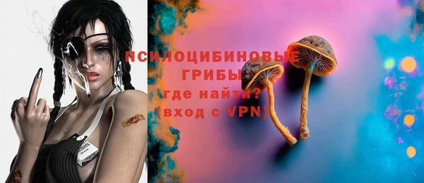 ПСИЛОЦИБИНОВЫЕ ГРИБЫ Сафоново